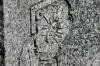 <img100*0:stuff/z/169023/Graveyard%2520Stock%2520II/i1277157721_14.jpg>