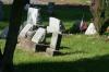 <img100*0:stuff/z/169023/Graveyard%2520Stock%2520II/i1277157721_21.jpg>