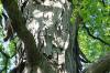 <img100*0:stuff/z/169023/Graveyard%2520Stock%2520II/i1277157722_23.jpg>