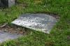 <img100*0:stuff/z/169023/Graveyard%2520Stock%2520II/i1277157722_24.jpg>