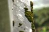 <img100*0:stuff/z/169023/Graveyard%2520Stock%2520II/i1277157722_25.jpg>