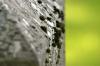 <img100*0:stuff/z/169023/Graveyard%2520Stock%2520II/i1277157722_31.jpg>