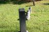 <img100*0:stuff/z/169023/Graveyard%2520Stock%2520II/i1277157722_34.jpg>