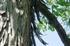 <img100*0:stuff/z/169023/Graveyard%2520Stock%2520II/i1277157722_35.jpg>