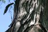 <img100*0:stuff/z/169023/Graveyard%2520Stock%2520II/i1277157722_41.jpg>