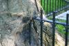<img100*0:stuff/z/169023/Graveyard%2520Stock%2520III/i1277158180_2.jpg>