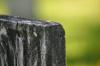 <img100*0:stuff/z/169023/Graveyard%2520Stock%2520III/i1277158181_11.jpg>