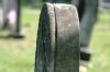 <img100*0:stuff/z/169023/Graveyard%2520Stock%2520III/i1277158181_8.jpg>