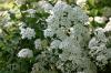 <img100*0:stuff/z/169023/Graveyard%2520Stock%2520III/i1277158182_19.jpg>
