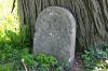 <img100*0:stuff/z/169023/Graveyard%2520Stock%2520III/i1277158182_20.jpg>