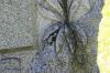 <img100*0:stuff/z/169023/Graveyard%2520Stock%2520III/i1277158182_21.jpg>