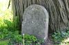 <img100*0:stuff/z/169023/Graveyard%2520Stock%2520III/i1277158182_26.jpg>