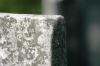 <img100*0:stuff/z/169023/Graveyard%2520Stock%2520III/i1277158183_27.jpg>