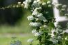 <img100*0:stuff/z/169023/Graveyard%2520Stock%2520III/i1277158183_31.jpg>