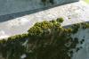 <img100*0:stuff/z/169023/Graveyard%2520Stock%2520III/i1277158183_32.jpg>
