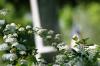 <img100*0:stuff/z/169023/Graveyard%2520Stock%2520III/i1277158183_37.jpg>
