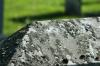 <img100*0:stuff/z/169023/Graveyard%2520Stock%2520III/i1277158184_38.jpg>