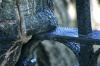 <img100*0:stuff/z/169023/Graveyard%2520Stock/i1277157430_1.jpg>