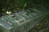 <img100*0:stuff/z/169023/Graveyard%2520Stock/i1277157431_11.jpg>