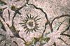 <img100*0:stuff/z/169023/Graveyard%2520Stock/i1277157431_13.jpg>