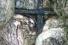 <img100*0:stuff/z/169023/Graveyard%2520Stock/i1277157431_14.jpg>