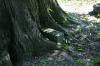 <img100*0:stuff/z/169023/Graveyard%2520Stock/i1277157431_16.jpg>
