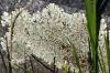 <img100*0:stuff/z/169023/Graveyard%2520Stock/i1277157431_18.jpg>