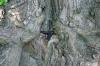 <img100*0:stuff/z/169023/Graveyard%2520Stock/i1277157431_2.jpg>