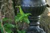 <img100*0:stuff/z/169023/Graveyard%2520Stock/i1277157431_3.jpg>