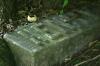 <img100*0:stuff/z/169023/Graveyard%2520Stock/i1277157431_5.jpg>