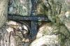 <img100*0:stuff/z/169023/Graveyard%2520Stock/i1277157431_8.jpg>