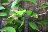<img100*0:stuff/z/169023/Graveyard%2520Stock/i1277157431_9.jpg>