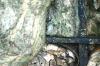<img100*0:stuff/z/169023/Graveyard%2520Stock/i1277157432_20.jpg>