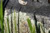 <img100*0:stuff/z/169023/Graveyard%2520Stock/i1277157432_24.jpg>