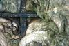<img100*0:stuff/z/169023/Graveyard%2520Stock/i1277157432_26.jpg>