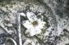 <img100*0:stuff/z/169023/Graveyard%2520Stock/i1277157432_27.jpg>