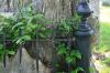 <img100*0:stuff/z/169023/Graveyard%2520Stock/i1277157432_32.jpg>