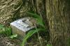 <img100*0:stuff/z/169023/Graveyard%2520Stock/i1277157432_34.jpg>