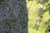<img100*0:stuff/z/169023/Graveyard%2520Stock/i1277157432_35.jpg>