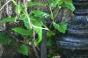 <img100*0:stuff/z/169023/Graveyard%2520Stock/i1277157432_38.jpg>