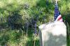 <img100*0:stuff/z/169023/Graveyard%2520stock%2520IIII/i1277158618_3.jpg>