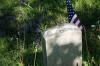 <img100*0:stuff/z/169023/Graveyard%2520stock%2520IIII/i1277158618_5.jpg>