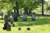 <img100*0:stuff/z/169023/Graveyard%2520stock%2520IIII/i1277158618_8.jpg>