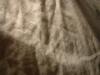 <img100*0:stuff/z/169023/Gray%2520Cloth%252028/i1263581972_11.jpg>