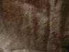 <img100*0:stuff/z/169023/Gray%2520Cloth%252028/i1263581972_7.jpg>
