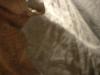 <img100*0:stuff/z/169023/Gray%2520Cloth%252028/i1263581973_16.jpg>