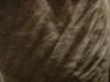 <img100*0:stuff/z/169023/Gray%2520Cloth%252028/i1263581973_17.jpg>