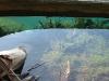 <img100*0:stuff/z/169023/Green%2520Lake%25205/i1258920477_3.jpg>