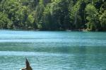<img150*0:stuff/z/169023/Green%2520Lakes.1/i1277852535_1.jpg>