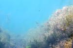 <img150*0:stuff/z/169023/Green%2520Lakes.1/i1277852535_10.jpg>